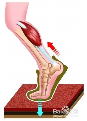 跟腱疼是怎么回事