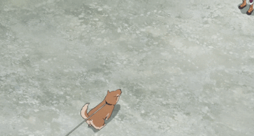 月番剧推荐摇曳露营