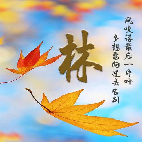 30张姓氏头像:秋天,一个寂寞的季节!