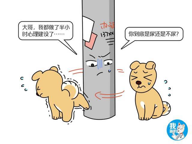 辟谣:狗狗憋尿是件引以为傲的事吗?来看看兽医是怎么说的