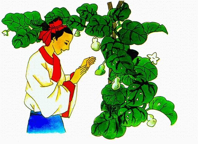 二年级上册语文《我要的是葫芦》教案