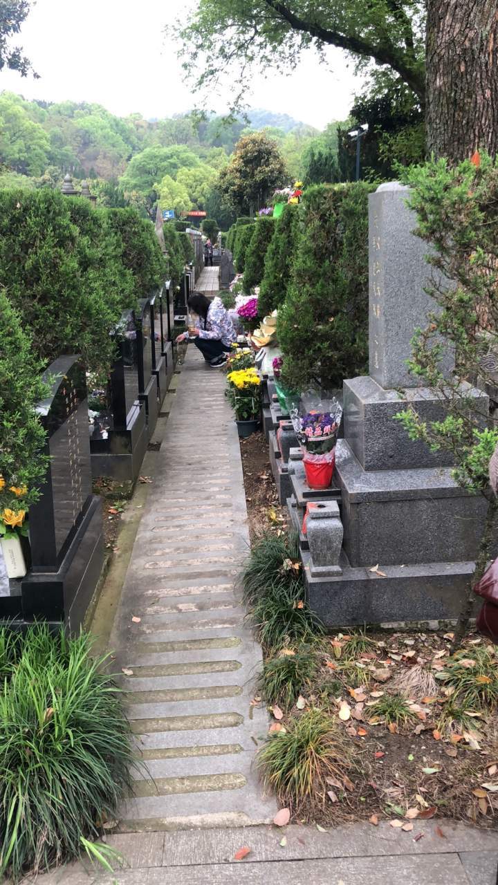 今天是正清明 杭州各大公墓写满思念