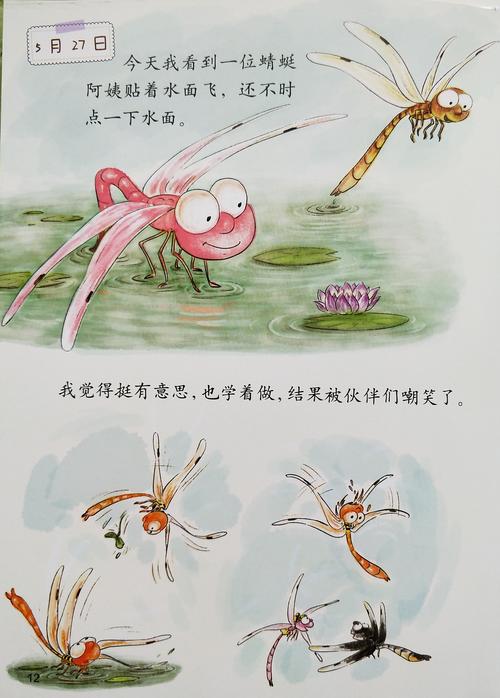 绘本《蜻蜓的日记》