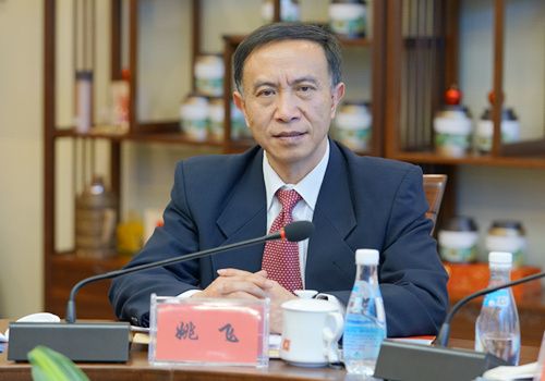 姚飞后脱贫时代仍需巩固成果解决可持续性发展问题