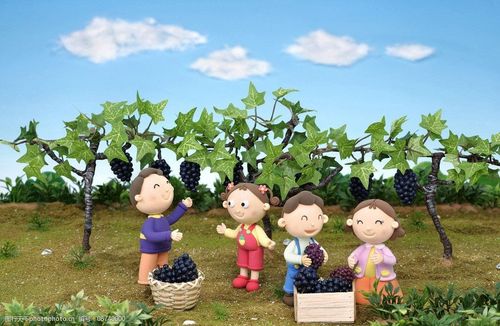 幸福一家摘葡萄图片