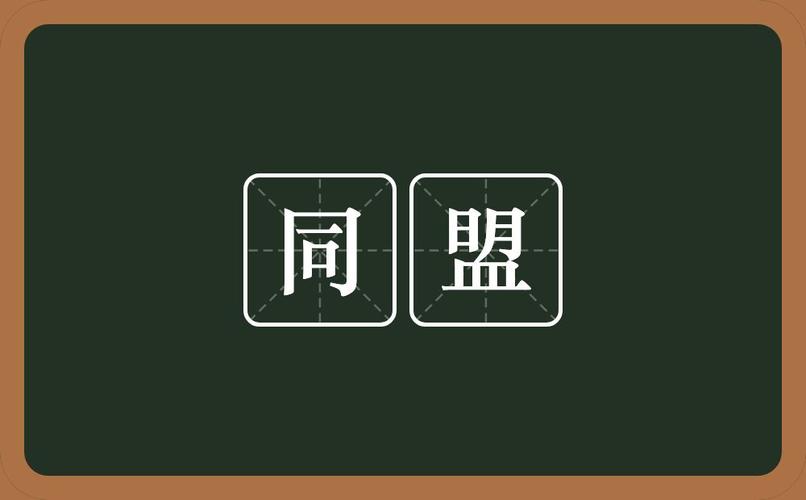 同盟是什么意思?