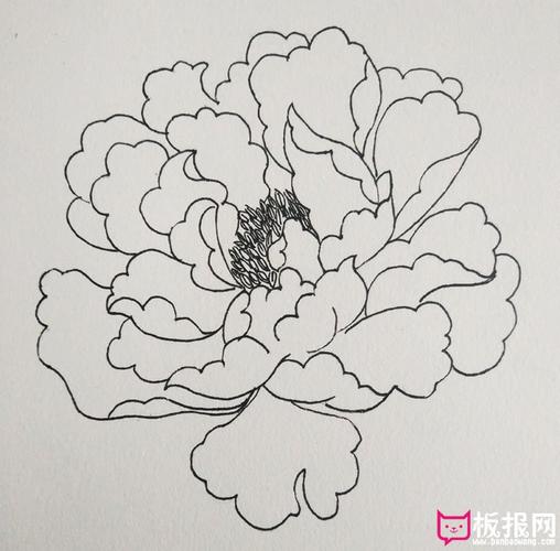 一笔一笔的教画牡丹花,牡丹花怎么画简单好看