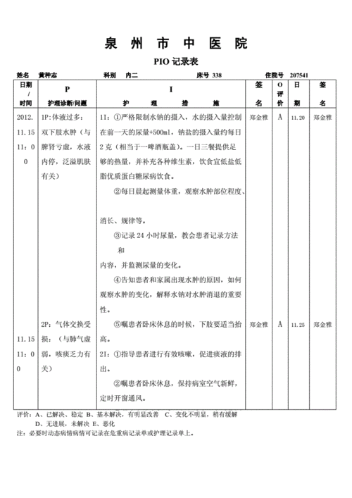 pio记录表1要点.doc