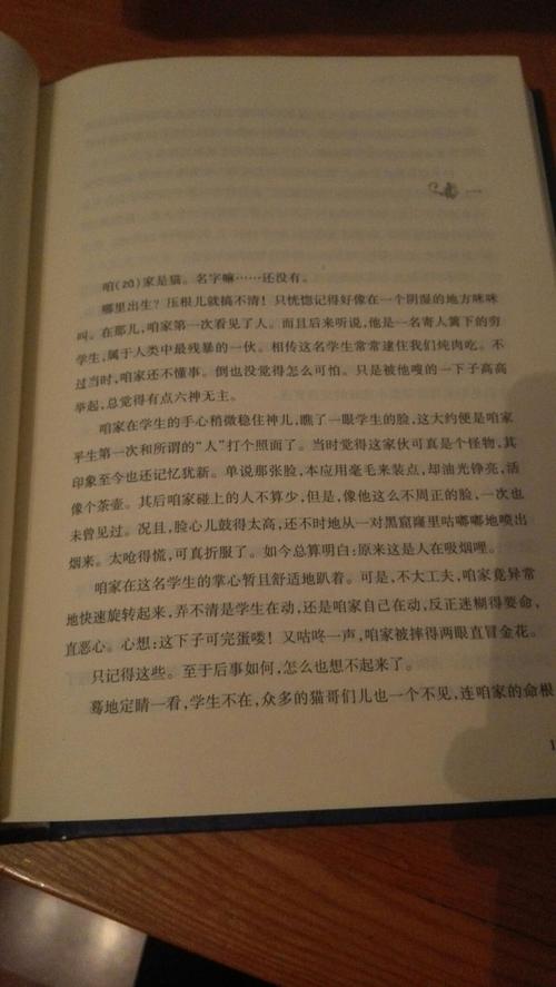 其它 《我是猫》 写美篇 内容简介