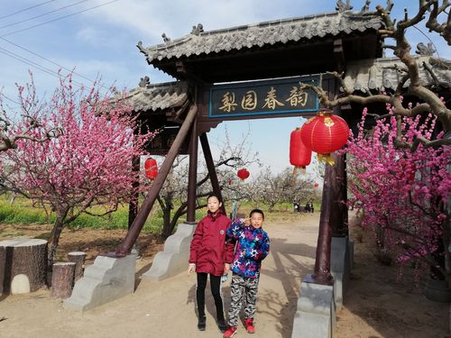 梨园春韵——2018清明踏青风游晋州周家庄生态采摘园