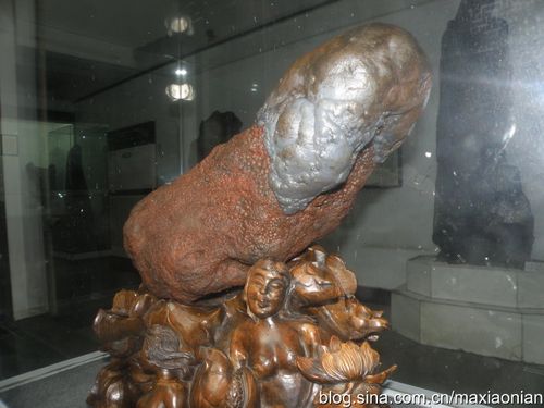 [转载]生命之源:远古的pk天然的