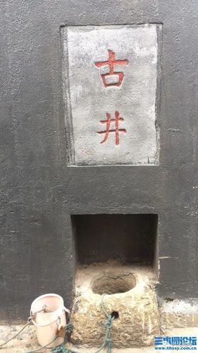 兴化千垛镇陈杨村百年古井的传说