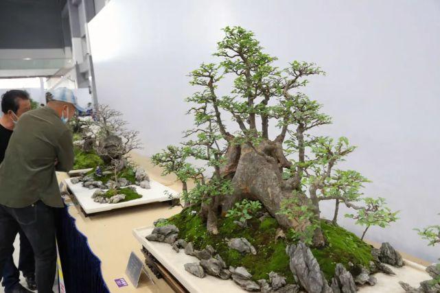 2021全国精品盆景展暨盆景交易大会等你来