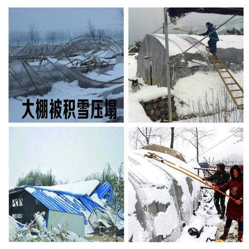 大棚推雪板刮雪耙推雪器房顶刮雪耙子铲雪锹除雪推雪神器 大棚除雪器