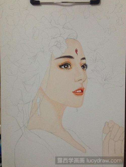 白凤九彩铅画教程