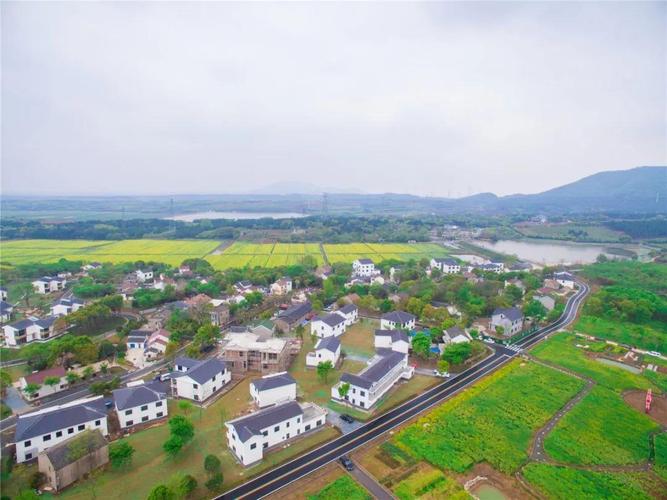 曹山大事记终于等到你江苏省特色田园乡村牛马塘盛大揭牌