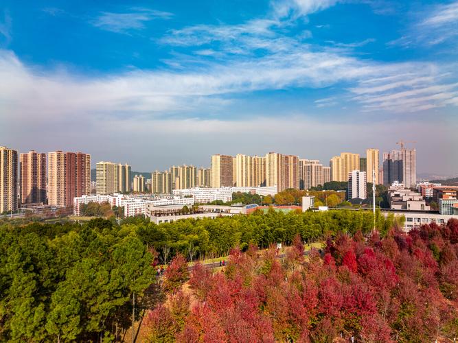 航拍武汉文华学院枫叶