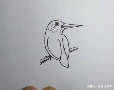 少儿简笔画教程:教你怎么一步一步画一只鸟?如何画一只长嘴鸟?