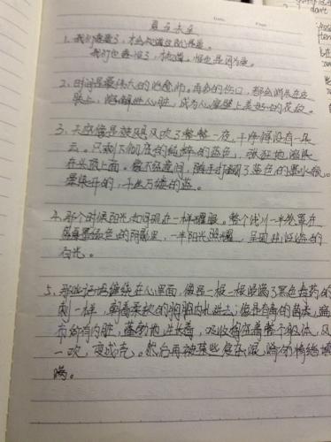 求类似夏至未至之类的书,就是语句比较美的能做读书笔记摘抄的!