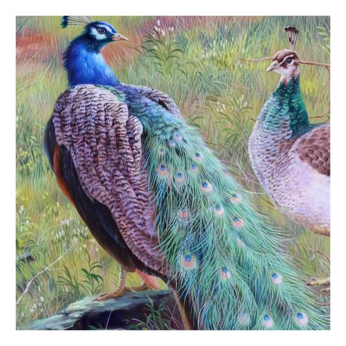 (朝鲜)张哲勋《孔雀》三池渊创作社 大卫画廊