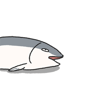 表情包-咸鱼锦鲤变