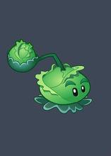 植物大战僵尸online