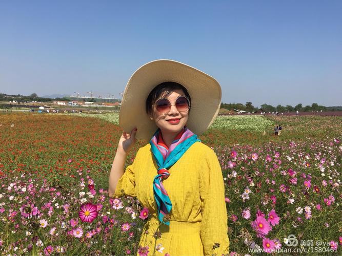 2018,10,3,句容伏热花海