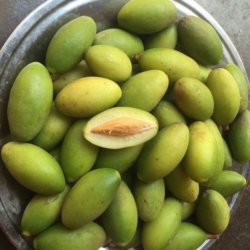 甜橄榄特甜甜种金灶橄榄果生吃酥脆无渣特甘甜青翠生橄榄 金灶镇特级