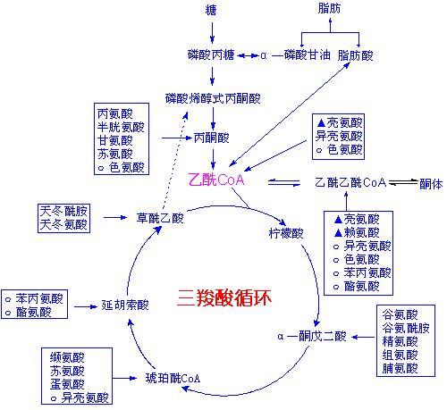 化学方法深度处理,以除去生物处理过程中残余的难降解的污染物的方法