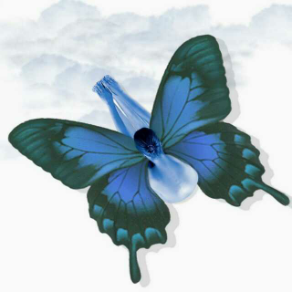 蓝蝴蝶——周梦蝶
