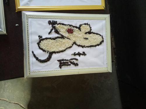 六年级和五年级的学生完成了老师布置的粮食粘贴画,分别是十二生肖画