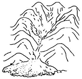 材料一: 2011年1月25日,巴西里约热内卢州山区洪水引发的泥石流灾害已