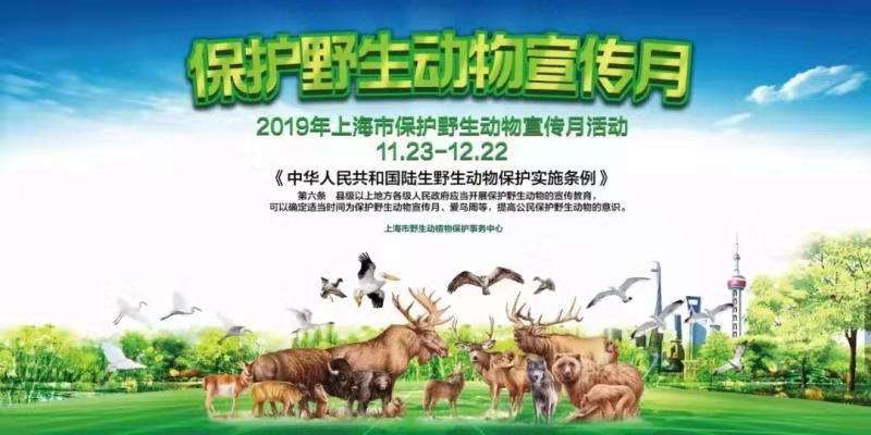 上海野生动物保护宣传月百家游学会特别场活动