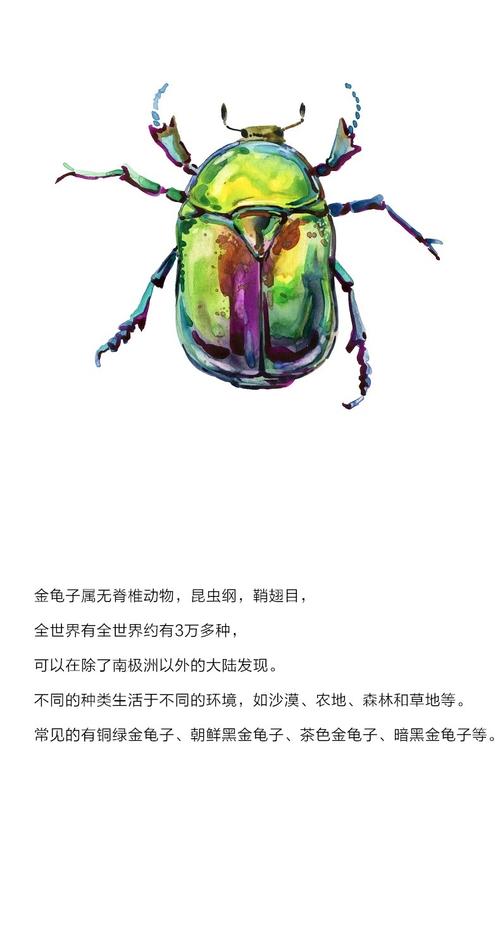 gieves charles 1961 儿时宠物 电镀幻彩金龟子限量版3d手工袖扣_7折