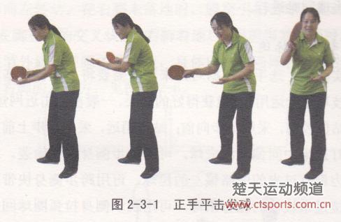 乒球训练:发球的方法与技巧-平击发球_乒乓球高手指导