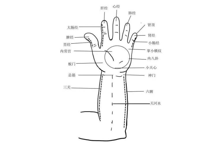 小儿推拿手部经络手法