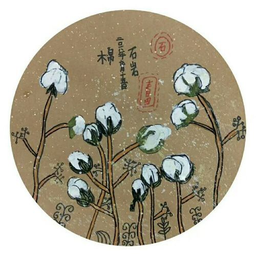 《棉花》