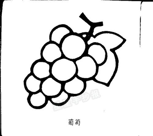 葡萄简笔画图片画法