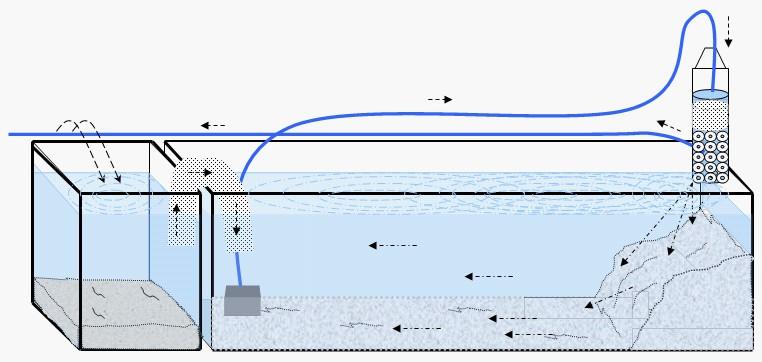 就是到了一般到了第三星期水就开始会有点腥味,这也是我三四个星期换