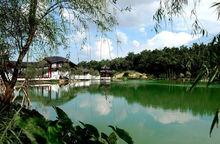 万景园除了植物盆景,还有山石盆景,桂林山水,张家界石林,黄山绝壁迎客