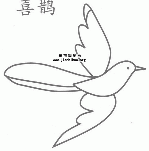 喜鹊简笔画图片大全