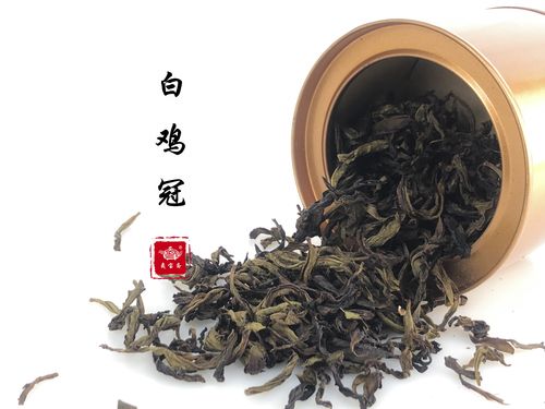 夷宝斋两腋清风白鸡冠