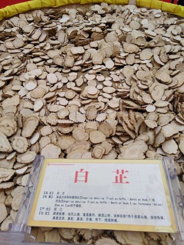 白芷的功效白芷可以祛斑吗