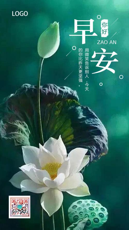 简约小清新早安晚安你好问候励志日签心情励志语录正能量企业宣传企业