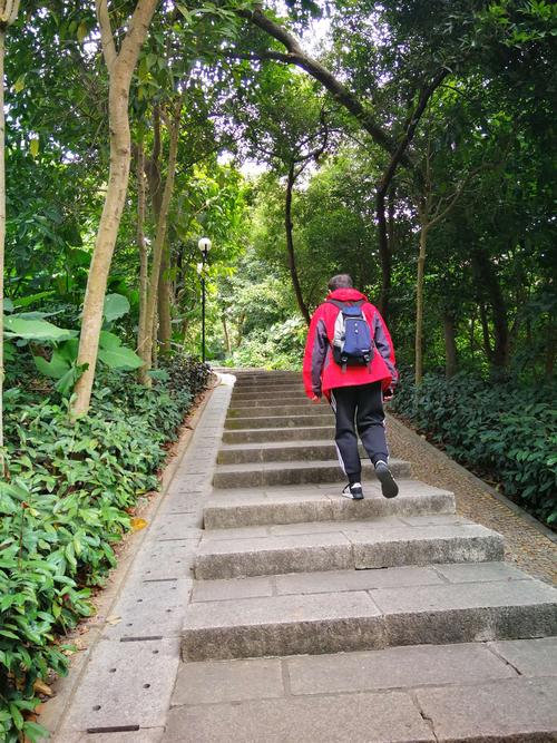 深圳莲花山公园