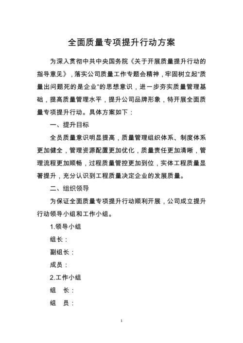 全面质量专项提升行动方案模板