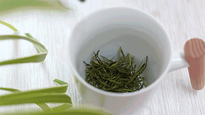 安吉白茶:绿茶"叛逆者"