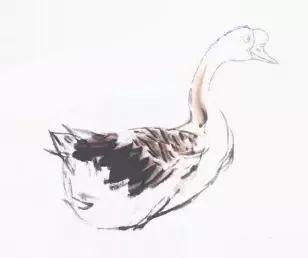 国画教程中国画技法之写意鹅