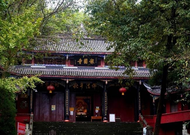 川渝秘境|探访四川乐至报国寺:千年"树抱佛"奇观 曾吸引央视《走进