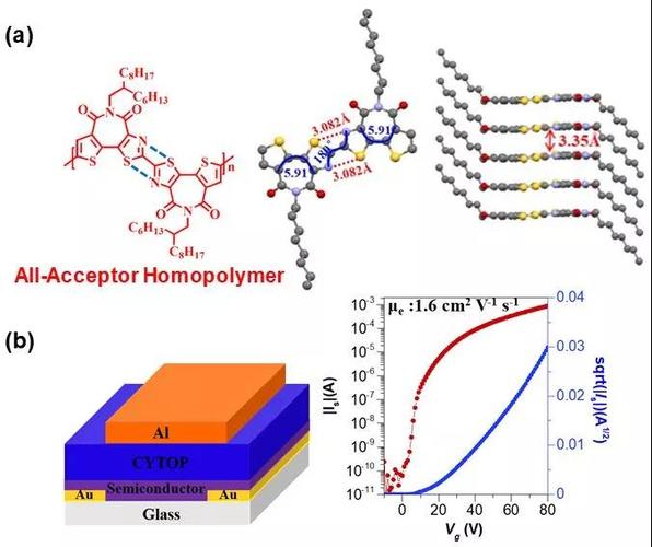 发表,论文题目为"thiazole imide-based all-acceptor homopolymer